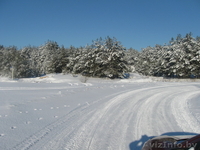 Дом в биосферном заповеднике направление Домачево,д.Черск - Изображение #8, Объявление #1028117