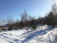 Участок в д.Знаменка - Изображение #3, Объявление #1039296