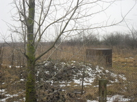 Участок для строительства дома в д.Нагораны,Жабинковский р-н - Изображение #4, Объявление #1041053