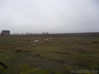 Участок для строительства дома в д.Нагораны,Жабинковский р-н - Изображение #6, Объявление #1041053