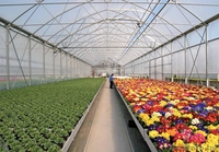 Культивационные столы для выращивания рассады. - Изображение #1, Объявление #1053929