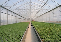 Культивационные столы для выращивания рассады. - Изображение #3, Объявление #1053929