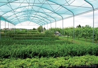 Структура затенения( сетка для затенения) - Изображение #2, Объявление #1053954