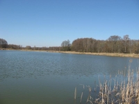 Усадьба Беловежская - отдых в Беловежской пуще - Изображение #7, Объявление #1067486