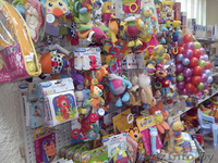 Манежи в Бресте - Изображение #2, Объявление #1095969