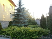 Дом р-н Березовка-Плоска - Изображение #3, Объявление #1116248