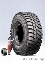 Шины с доставкой из Гродно для грузовой и спецтехники. - Изображение #1, Объявление #1150938