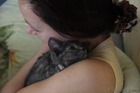 Котёнок Элси, 3 мес. ищет себе надёжного хозяина. - Изображение #3, Объявление #1169398