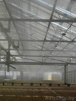 Системы туманообразования - Изображение #2, Объявление #1221135