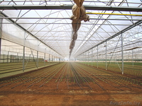 Системы туманообразования - Изображение #5, Объявление #1221135