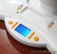 Прокат детских качелей в Бресте tobby - Изображение #2, Объявление #1234729