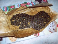 Запчасти для мопеда Simson ( ГДР) - Изображение #2, Объявление #1257841