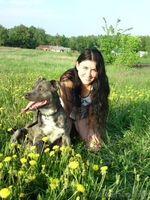 Продаются щенки амстаффа - Изображение #2, Объявление #1268255