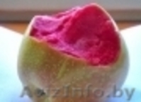  Яблони красномякотные  - Изображение #3, Объявление #1341386