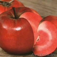  Яблони красномякотные  - Изображение #2, Объявление #1341386