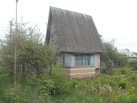 Дача в красном дворе - Изображение #1, Объявление #1340401