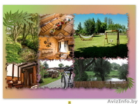 Усадьба в Беловежской пуще - Изображение #9, Объявление #1397664