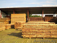 лес, дом, крыша, стропила, балки - Изображение #4, Объявление #451077