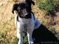 Вы не будете одиноки - Изображение #6, Объявление #1497601