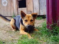 Вы не будете одиноки - Изображение #8, Объявление #1497601