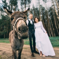 Конно-спортивный клуб "Успех" (верховая езда, обучение,выезд в поля, фотосесии - Изображение #2, Объявление #1494691