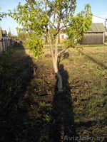 Земельный участок Заозерное - Изображение #2, Объявление #1562011