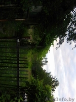 продам дачу в Южное-1 срочно - Изображение #2, Объявление #1574939