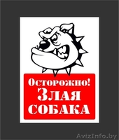 Адресные таблички на дом, таблички злая собака - Изображение #3, Объявление #1576580