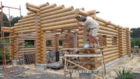 Изготовление домов и бань из оцилиндрованного бревна. - Изображение #7, Объявление #1589392