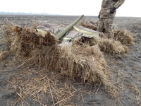 Засидка на гуся Duck Expert Хантер - Изображение #4, Объявление #1648848