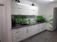 скинали на заказ(кухонный фартук) - Изображение #2, Объявление #1650950