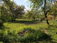 Уютная 3-х комнатная квартира в жилом доме в г.Высокое, 30км от Бреста - Изображение #1, Объявление #1549810