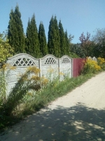 Продается дача! Гибкая цена! Срочно! - Изображение #1, Объявление #1668541