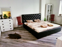 Стильные, комфортабельные Апартаменты - Изображение #1, Объявление #1671053