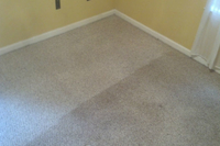 Химчистка ковров с длинным и коротким ворсом - Изображение #2, Объявление #1671696