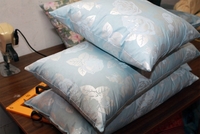 Химчистка подушек выезд на дом Брест - Изображение #4, Объявление #1671687