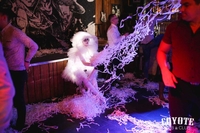 Студия развлекательных программ Хочу Шоу. Взрослым и детям Бреста. - Изображение #4, Объявление #1690077