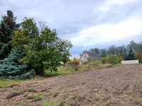 Продам ДОМ с пропиской и ОГРОМНЫМ участком! - Изображение #6, Объявление #1699212