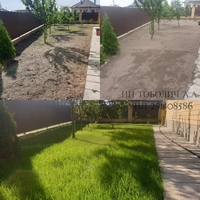 Посадка газона / Благоустройство территорий - Изображение #2, Объявление #1707605