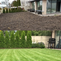 Посадка газона / Благоустройство территорий - Изображение #1, Объявление #1707605