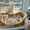 Котята (коты) европейской короткошерстной редкого окраса - Изображение #1, Объявление #608997