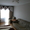 Квартира на сутки в Бресте, бюджетная, интернет, кабельное телевидение - Изображение #1, Объявление #831375