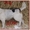 Милая собачка Фрося в добрые руки - Изображение #5, Объявление #1011958