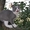 Британские плюшевые котятки #1124109