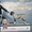 Хендлинг собак в Бресте - Изображение #2, Объявление #1209857