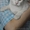 Кот в дар. Лексус - Изображение #3, Объявление #1300243