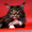 Котята Мейн-кун ищут новых хозяев - Изображение #2, Объявление #1309540