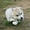 Шикарные щенки Сибирских Хаски - Изображение #9, Объявление #1488905