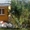 продам жилой дом на хуторе в д. Б. Косичи - Изображение #5, Объявление #1258733