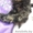 Котята в дар, привиты (возраст 4-6 месяцев) - Изображение #2, Объявление #1521337